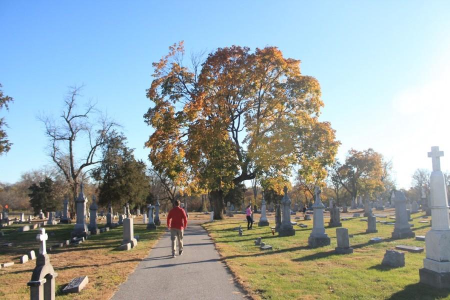 Senior max van Dongen walks through Holy Name Cemetery searching for photo ideas. This is one of the many beautiful photos taken by junior Joe Schroeder.