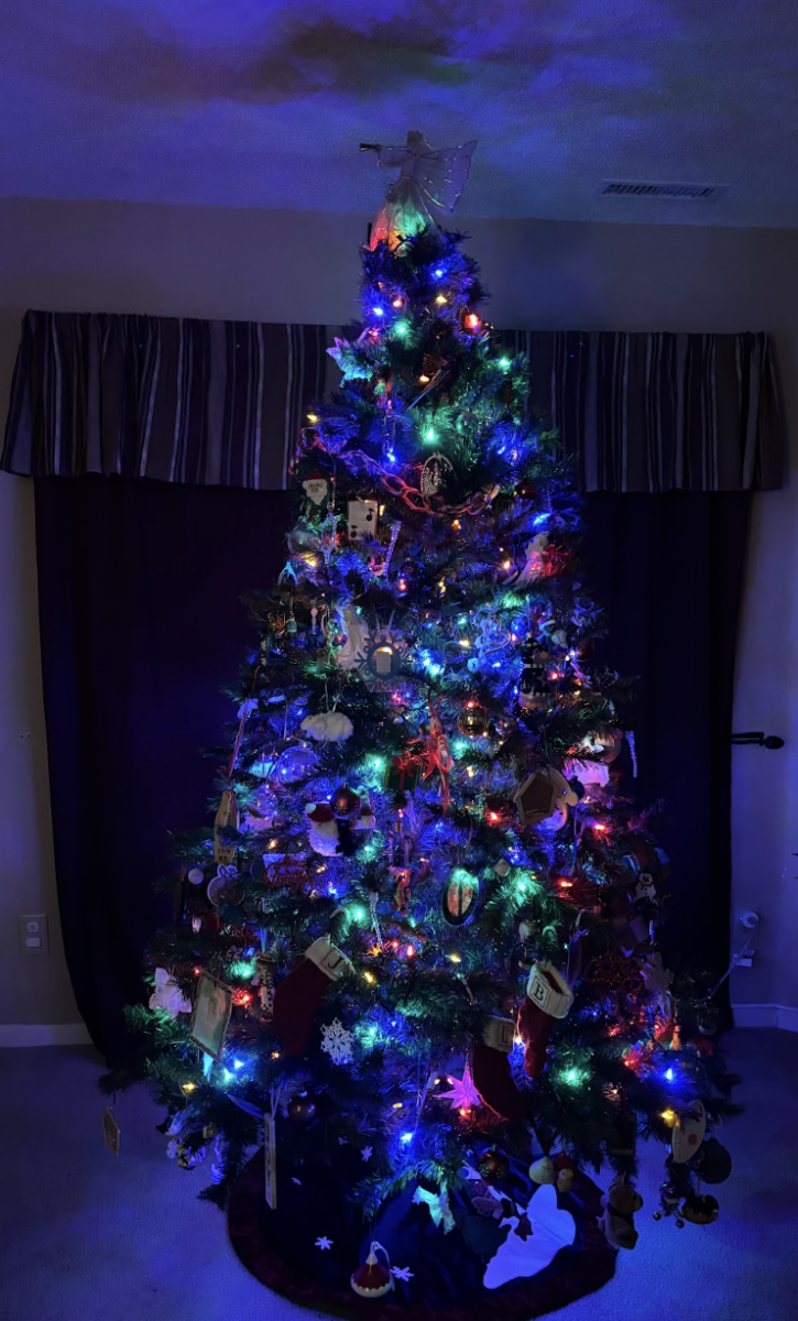 Sophomore Matilda Waltz showcases her lighted and decorated Christmas tree.
